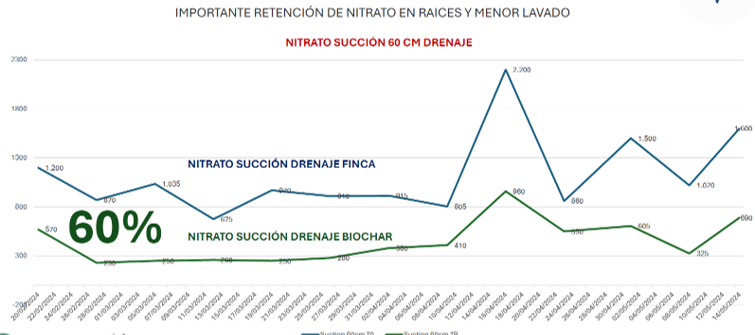 Nutrientes Biochar